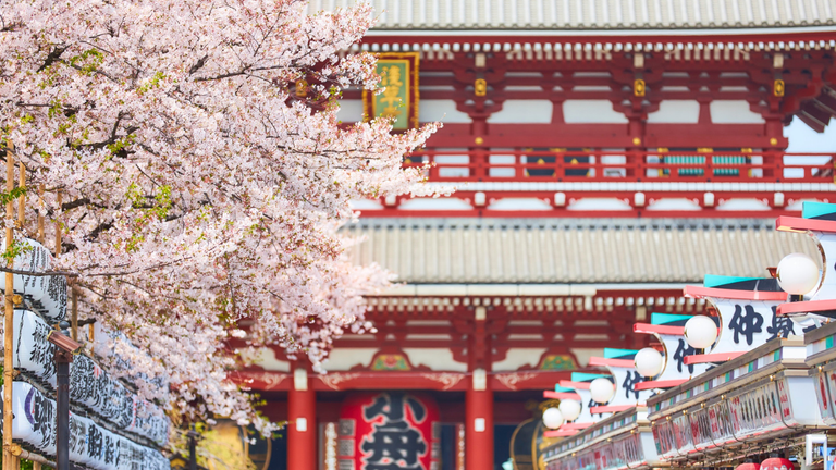 why-summersonic-makes-Tokyo-the-must-visit-cover